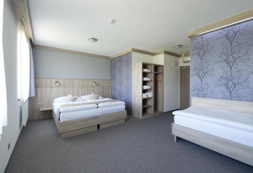 豪华房间, Wellness Penzion Medličky