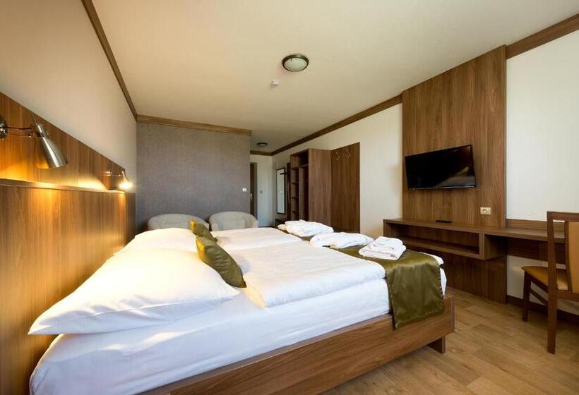 Номер Deluxe, Wellness Penzion Medličky