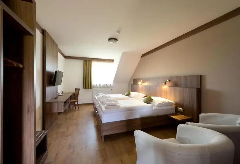 シングルデラックスルーム, Wellness Penzion Medličky