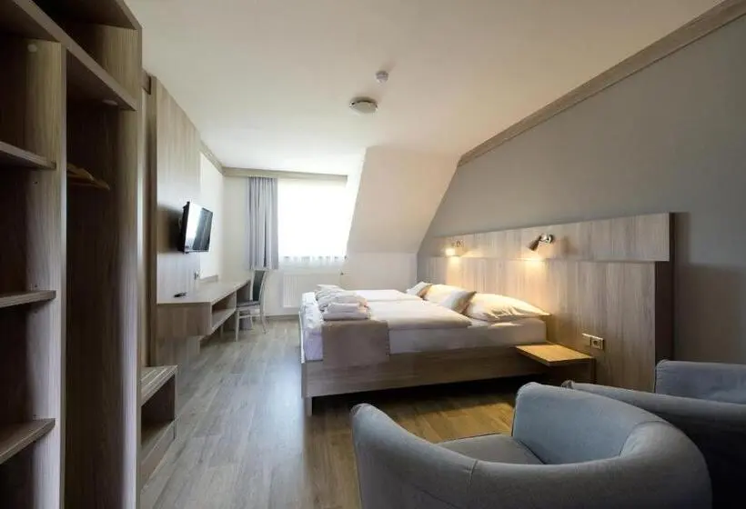 シングルデラックスルーム, Wellness Penzion Medličky