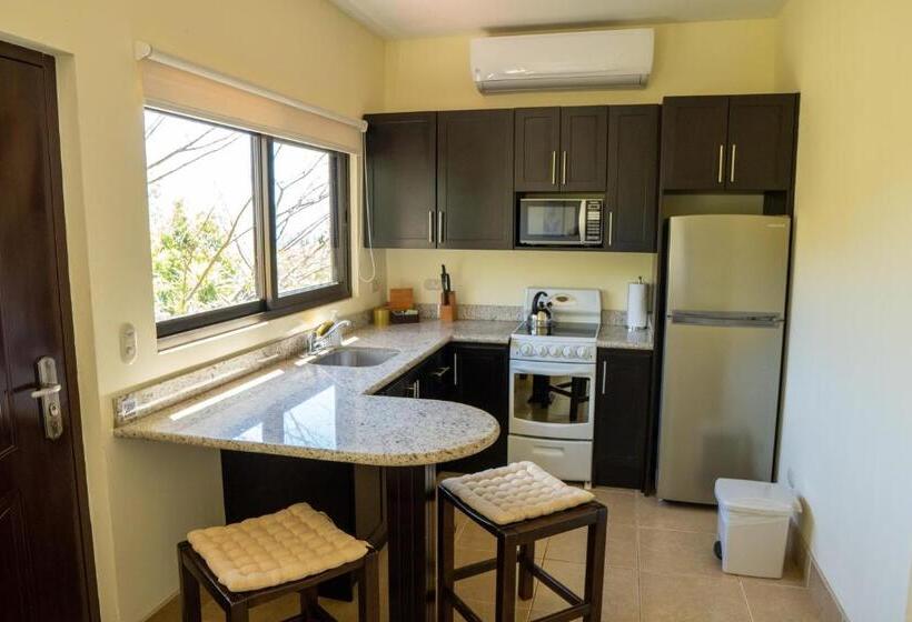 شقة ديلوكس غرفة واحدة, Vida Mountain Resort & Spa Adults Only