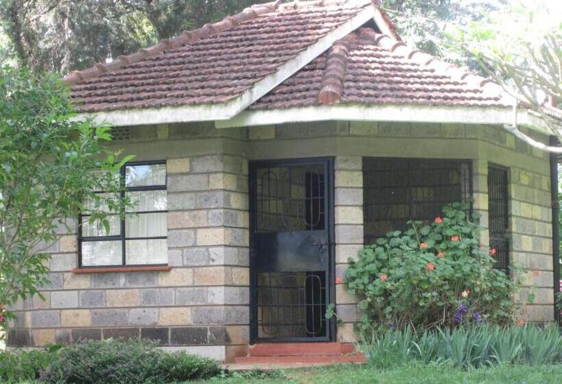 سوییت, Ack St.julians Centre