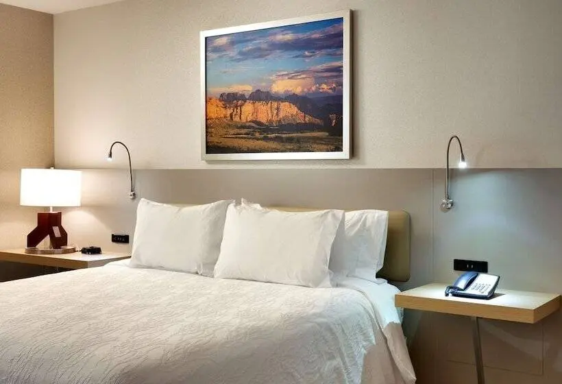 Standard-huone Parivuode, Hilton Garden Inn Lehi