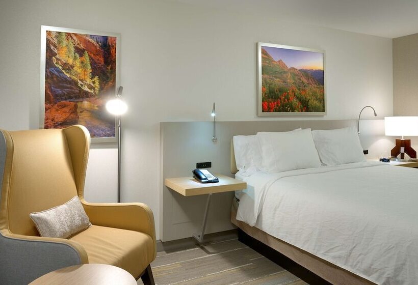 Номер Стандарт Двуспальная Кровать, Hilton Garden Inn Lehi