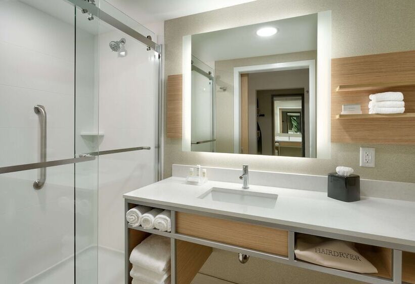 Номер Стандарт 2 Двуспальные Кровати, Hilton Garden Inn Lehi