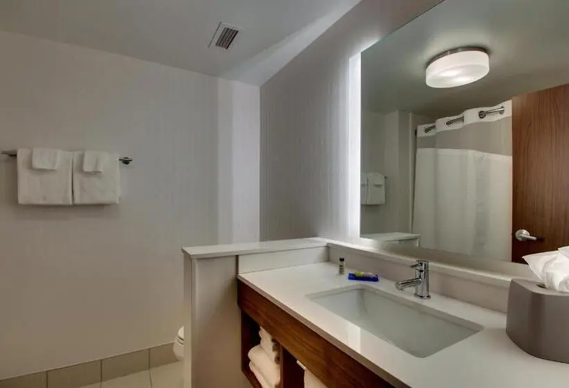 スイート, Holiday Inn Express & Suites Findlay North, An Ihg