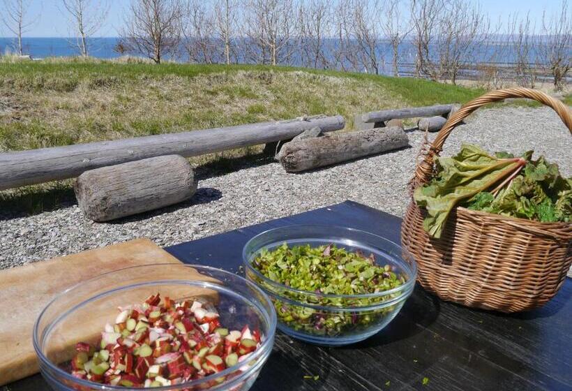 اتاق سوپریور با چشم‌انداز دریا, Guesthouse Nýp