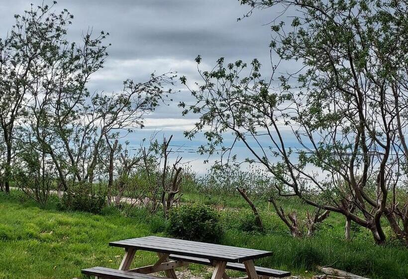 اتاق سوپریور با چشم‌انداز دریا, Guesthouse Nýp