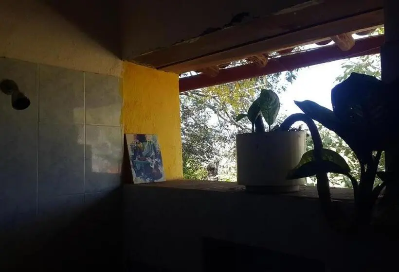 スタンダード４人部屋, Surrona