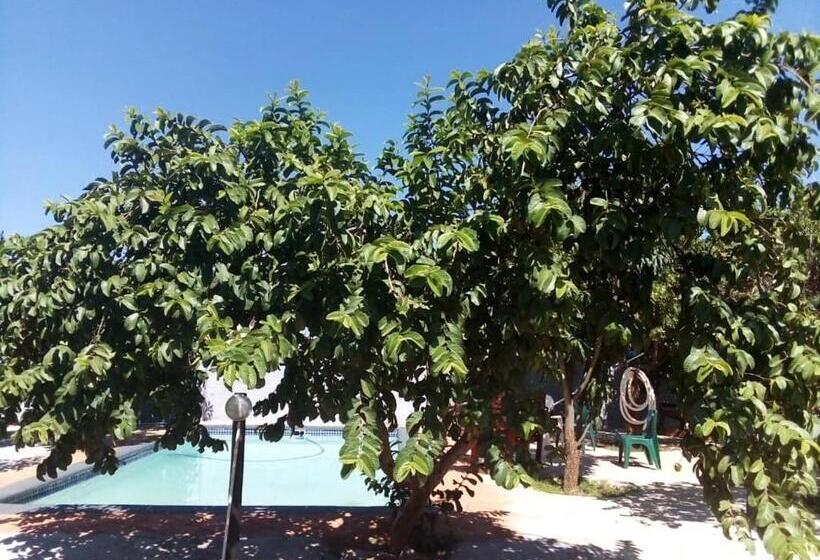 اتاق استاندارد, Belle Vue Bed & Breakfast