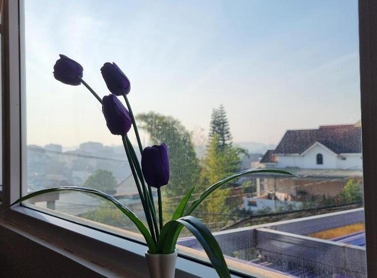 اتاق استاندارد با تخت بزرگ, Bong Sen