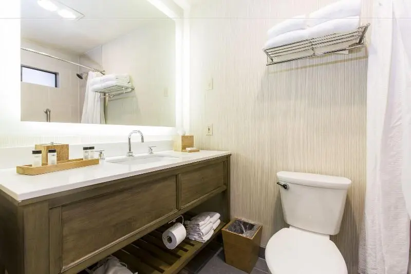 スタンダードシングルルーム, Dormy Inn Kochi