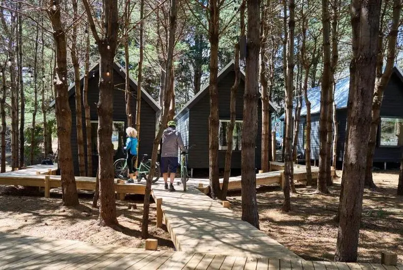 キングサイドベッドのスタンダードワンルーム, Black Forest Cabins