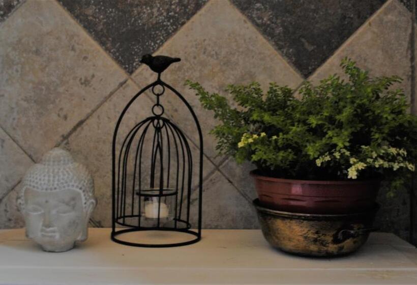 스탠다드 룸, Evergreen