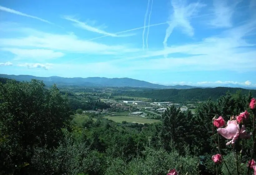 デラックスジュニアスイート, Villaspino