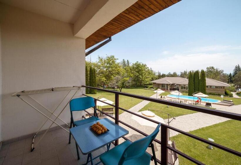 اتاق استاندارد, Dolinnka