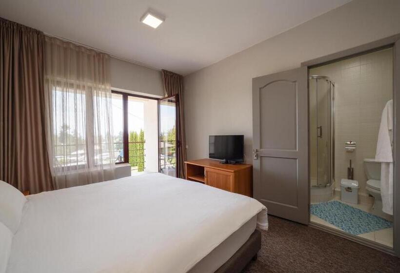 اتاق استاندارد, Dolinnka