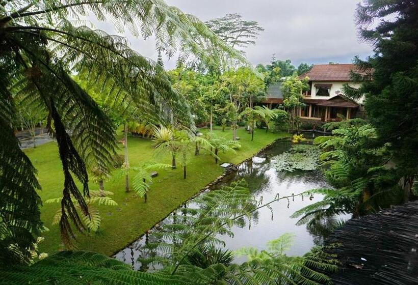 豪华三人间, Spring Hill Hotel Ruteng