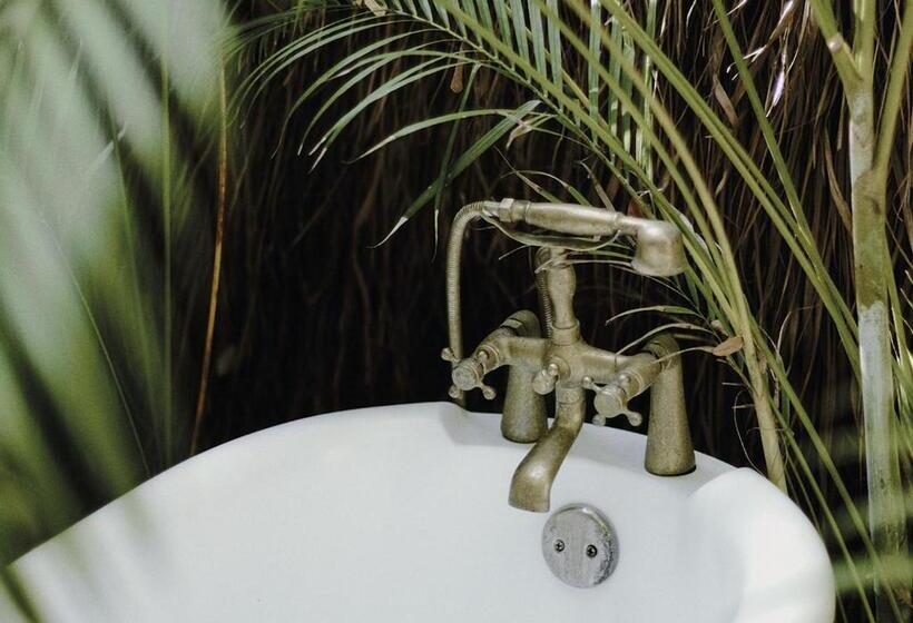 3ベッドルームハウス, Una Vida