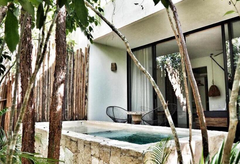 غرفة أساسية, Una Vida