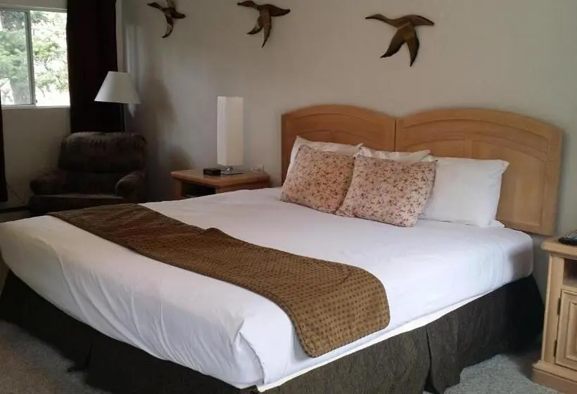 اتاق استاندارد با تخت بزرگ, Appletree Inn