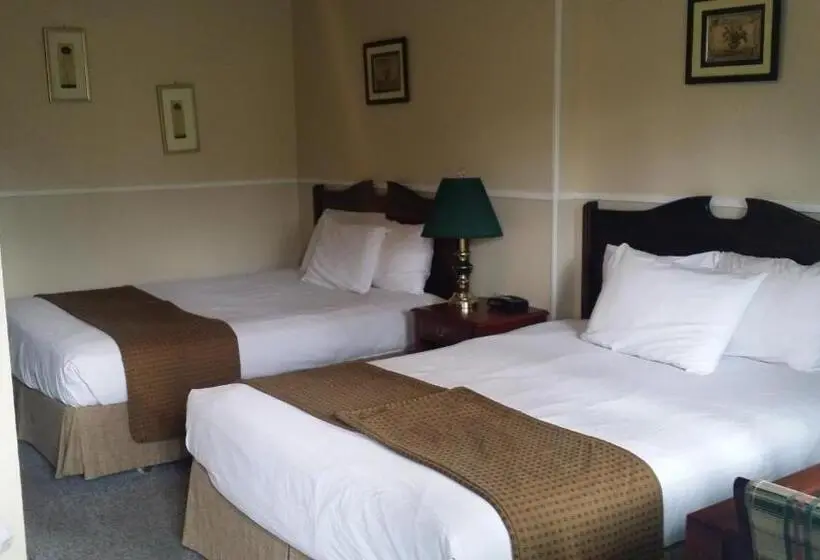 اتاق سوپریور با تخت دو نفره بزرگ, Appletree Inn