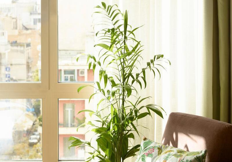 غرفة قياسية, Brown Kubic, A Member Of Brown Hotels