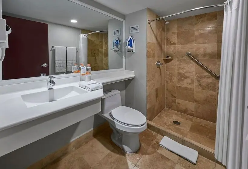 ２ダブルベッドのスタンダードルーム, City Express Plus By Marriott Leon Centro De Convenciones
