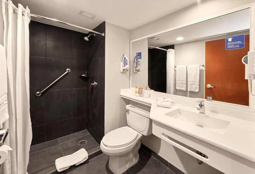 ２ダブルベッドのスタンダードルーム, City Express Plus By Marriott Leon Centro De Convenciones