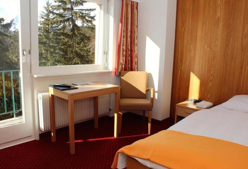 Номер Стандарт Индивидуальный, Hôtel Splendide