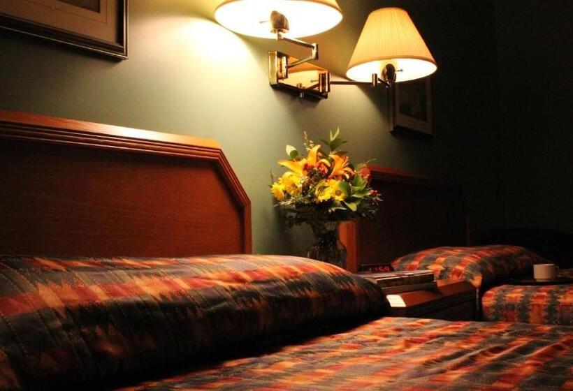 스탠다드 룸 더블 침대 2개, Hôtel Val Des Sources