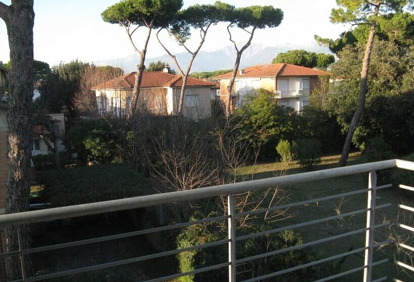 带阳台的标准单人间, Luca