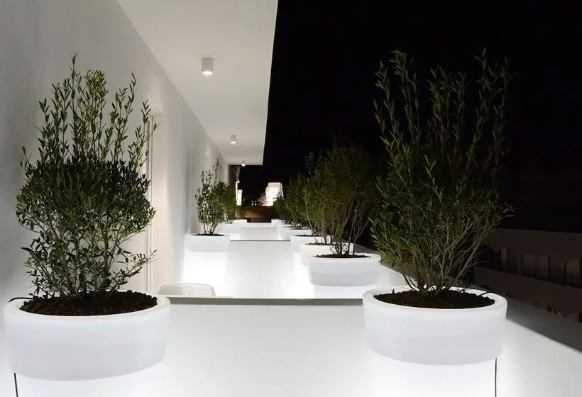Habitació Estàndard amb Terrassa, M&f