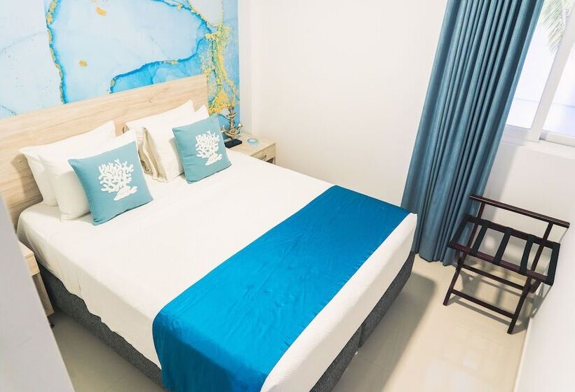 スタンダードルーム, Sea Colors