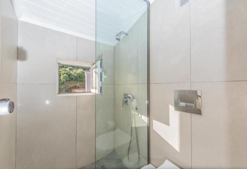 اتاق استاندارد, Planos Beach