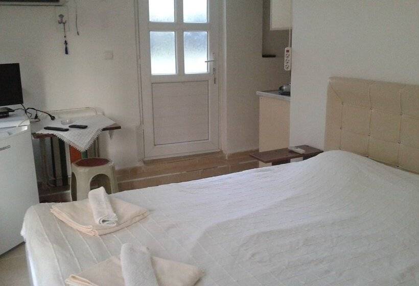 Camera Standard, Orion Guest House