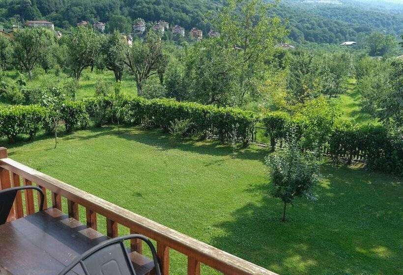 اتاق لوکس, Cevizdibi