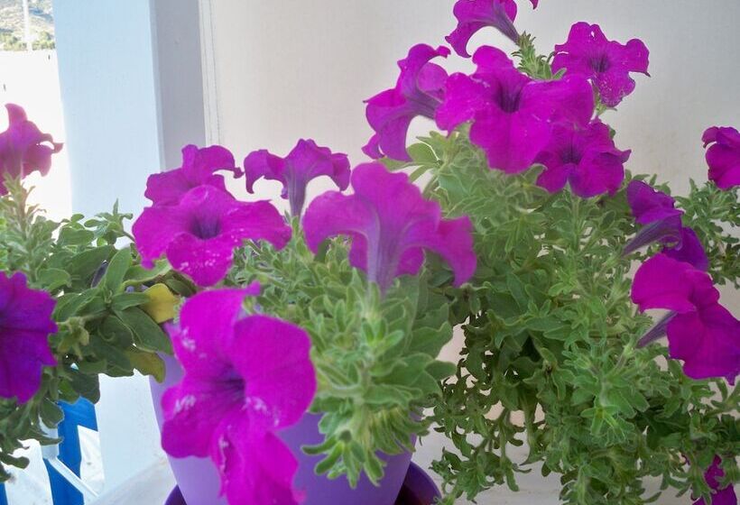 스탠다드 스튜디오 측면 바다 전망, Heliotropio Studios & Apartments