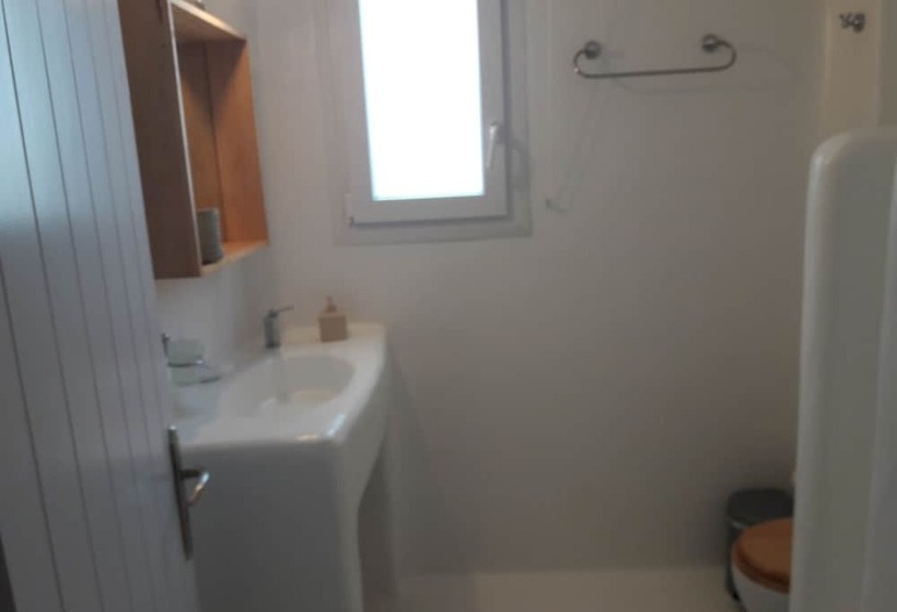 스탠다드 스튜디오 정원 전망, Heliotropio Studios & Apartments