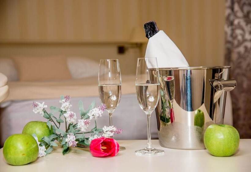 חדר סטנדרט, Pletnevskiy Inn