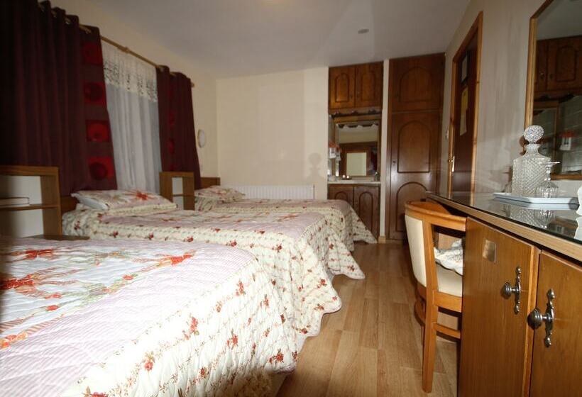 스탠다드 룸, Fortview House Bed & Breakfast