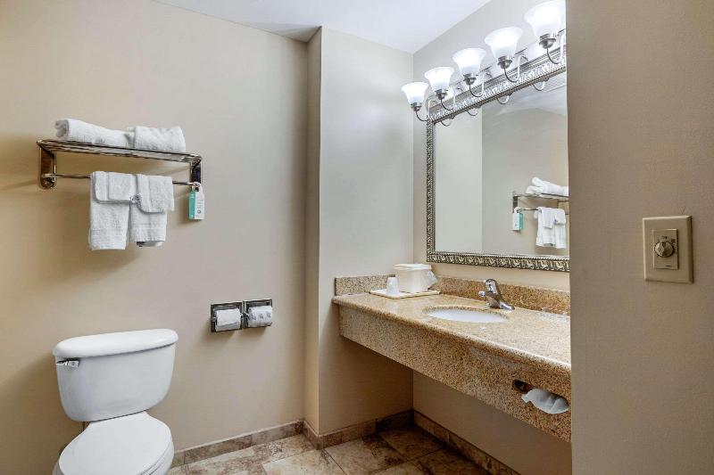 标准间, Ibis Lyon Carre De Soie