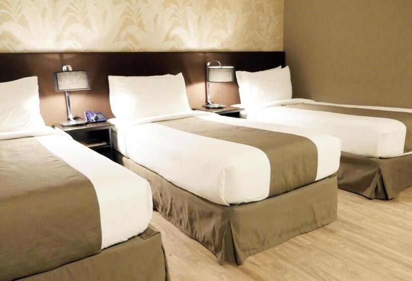 اتاق خانوادگی, Gt Hotel Jaro