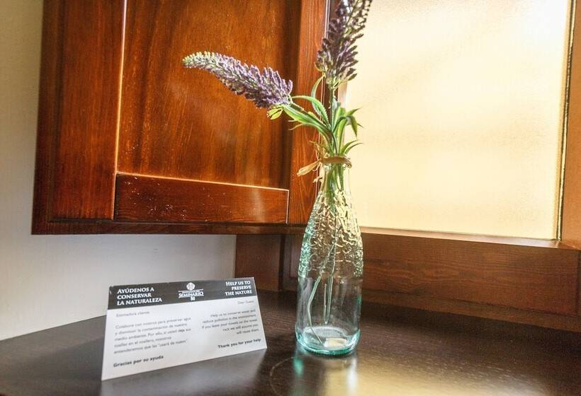 اتاق استاندارد, Hospederia Seminario Conciliar De San Julián