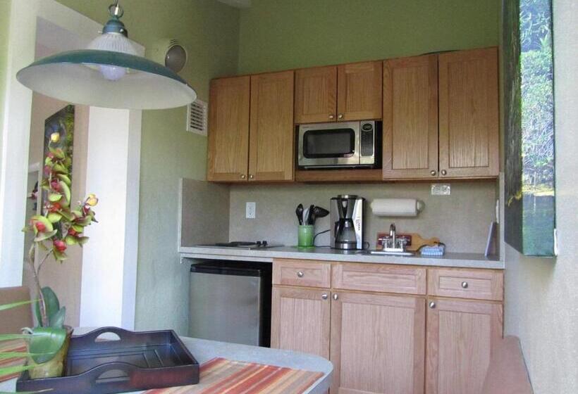 جناح ديلوكس, Suite Dreams Inn By The Beach