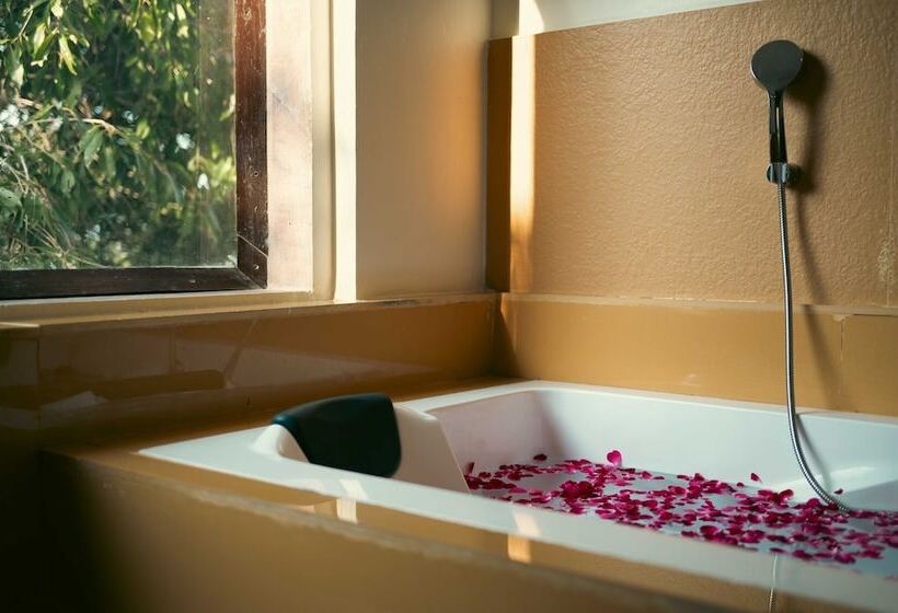 スイート, Abhyaran Resort & Spa Ranthambore