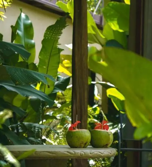 スーペリアファミリールーム, Bamboo River Lodge