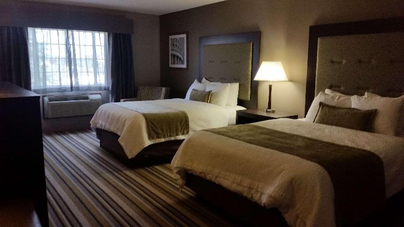 חדר סטנדרט, Bridge Backpackers