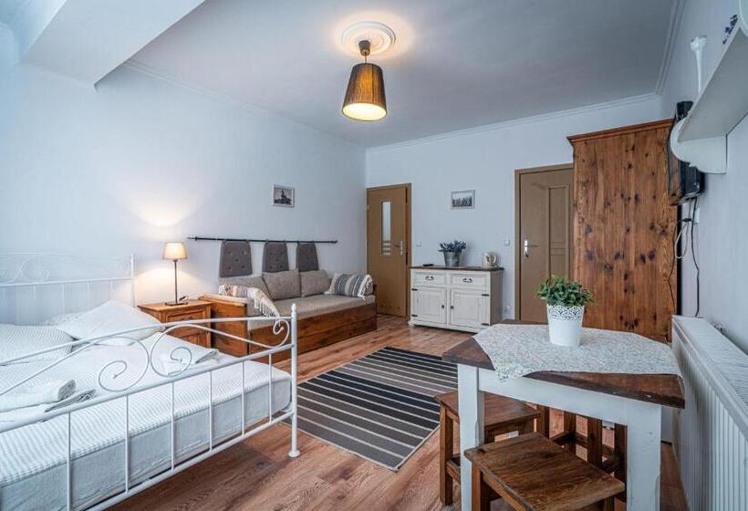 Семейный Номер, Willa Fryzowiczówka