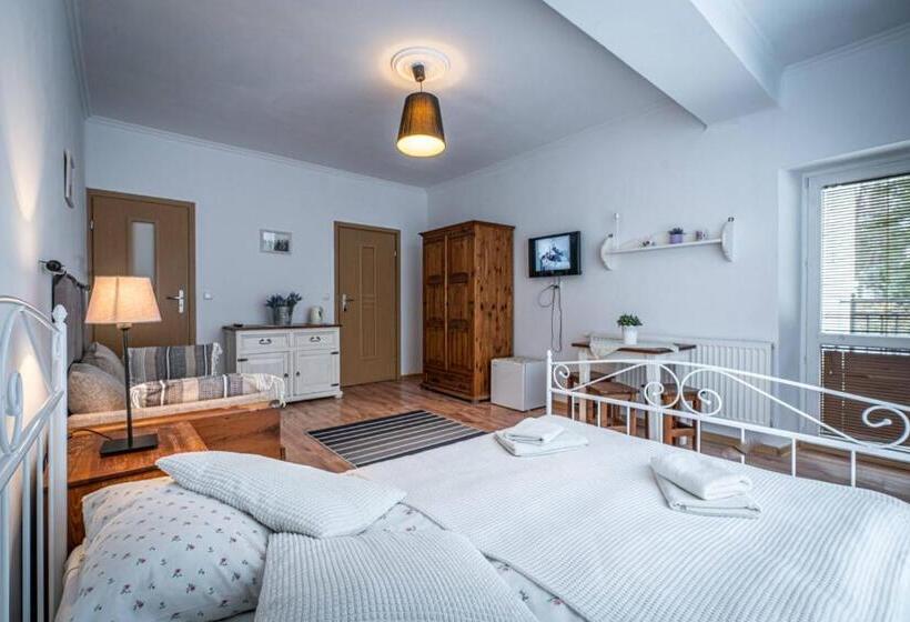 Семейный Номер, Willa Fryzowiczówka